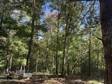 237 Hillendale Lane