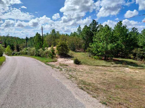 3 Tall Forest Drive