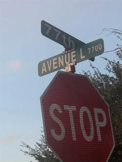 Avenue L