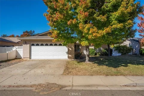 3552 Barkwood