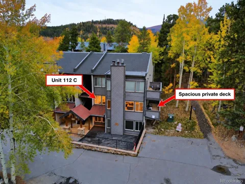 705 Snowberry Lane #112
