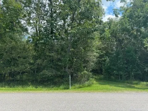 Pinewood