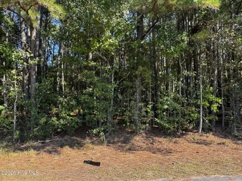 20 Deer Track Drive