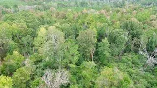 9 County Road 2035