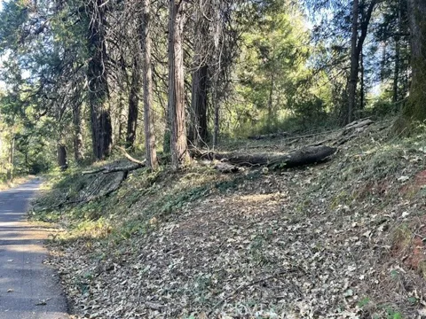 Old Forbestown Road
