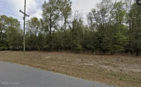 Lt 10 Turning Leaf Ln