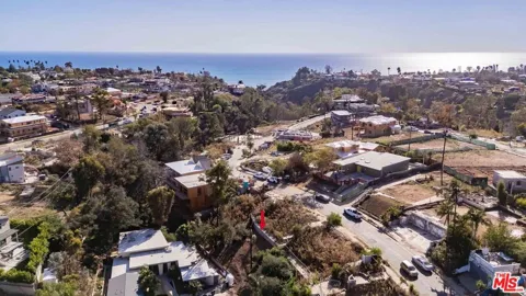 668 Palmera