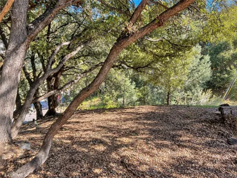2117 Alder Court