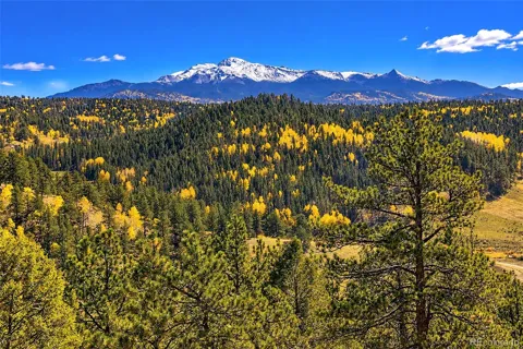 72 Buffalo Creek Trail