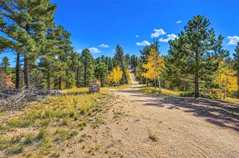72 Buffalo Creek Trail