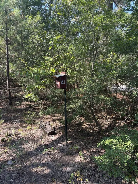 667 Paint Creek South Road
