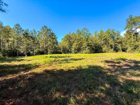County Road 4416