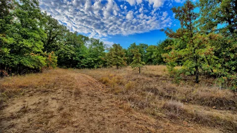 Starkey Road