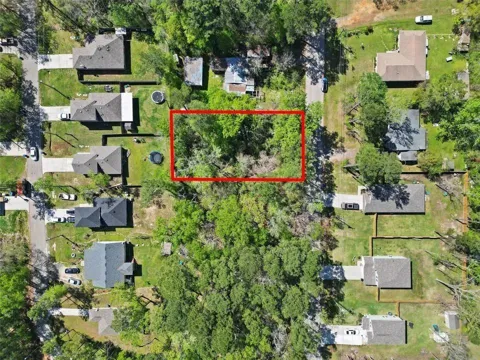 Colosseum Ct