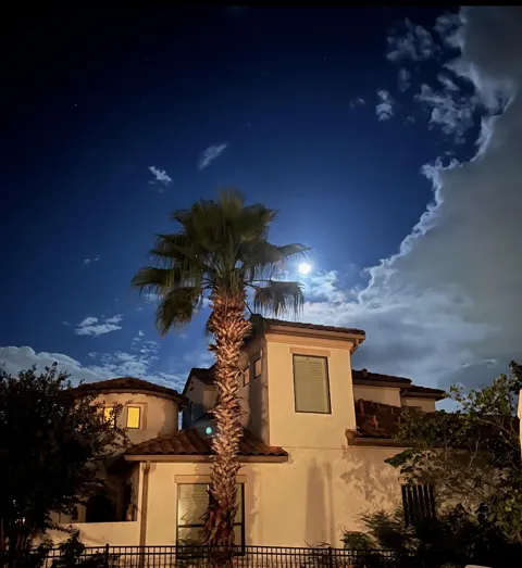 11617 Red Oak Valley Lane