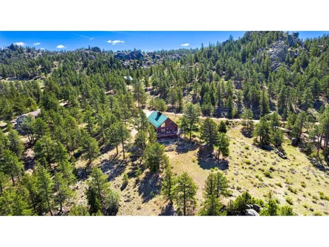 313 Castle Mountain Drive
