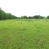 4147 Fuqua Street Houston, TX 77048
