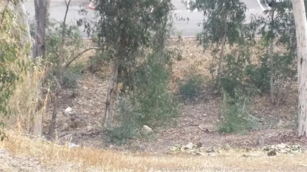 Guava La Mesa, CA 91942