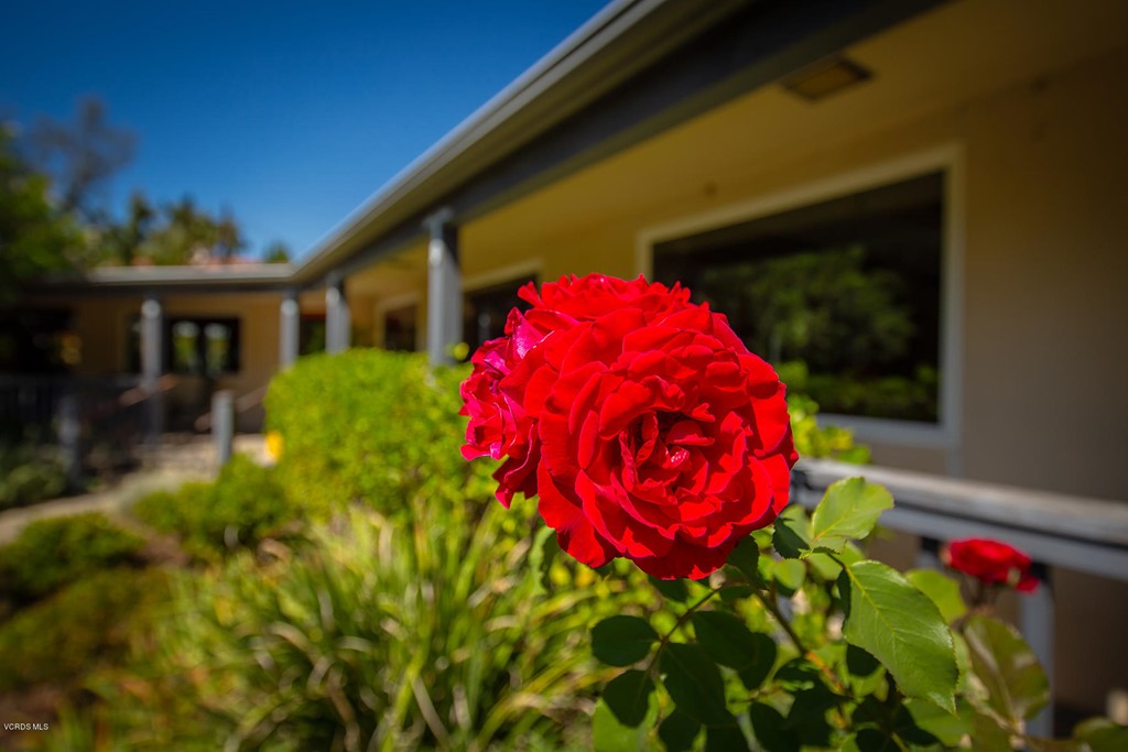 205 S Signal Street Ojai, CA 93023