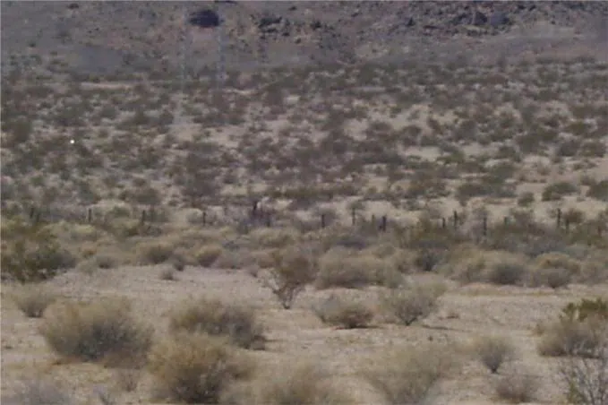 Mannix Newberry Springs, CA 92365