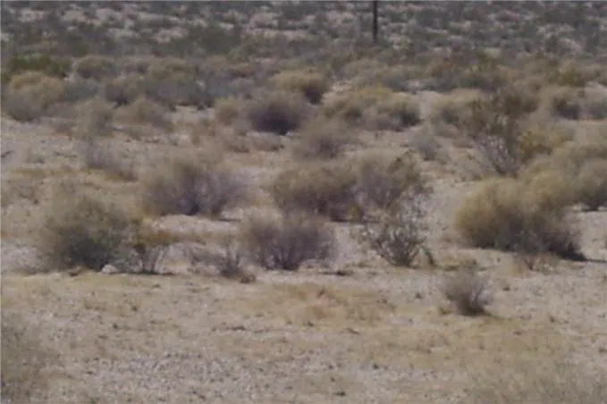 Mannix Newberry Springs, CA 92365
