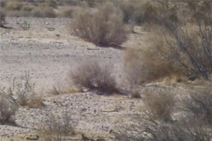 Mannix Newberry Springs, CA 92365