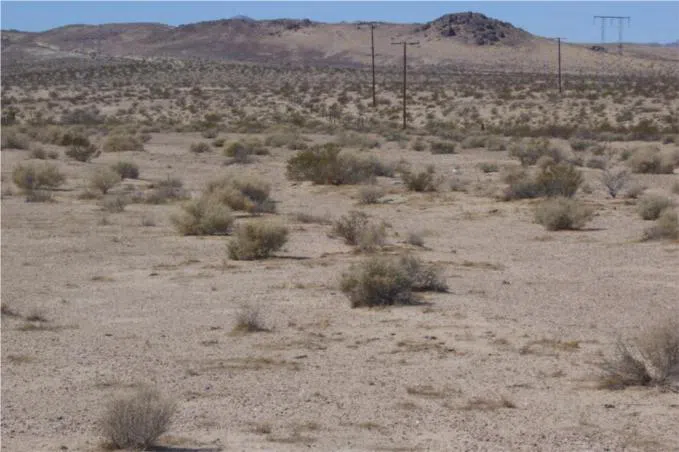Mannix Newberry Springs, CA 92365