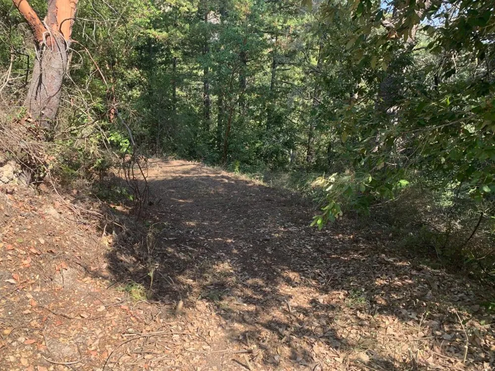950 Middleton Drive Boulder Creek, CA 95006