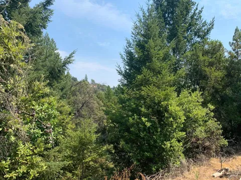 950 Middleton Drive