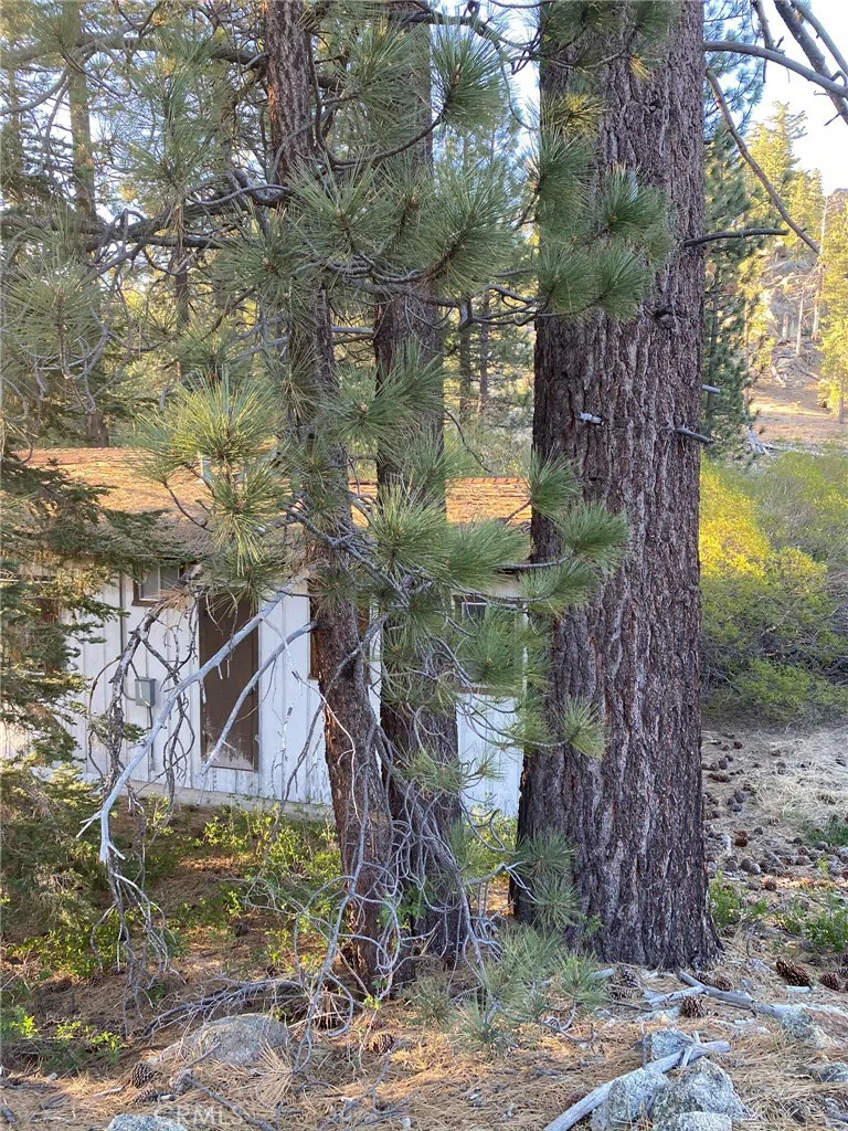 Cienega Road Big Bear, CA 92315