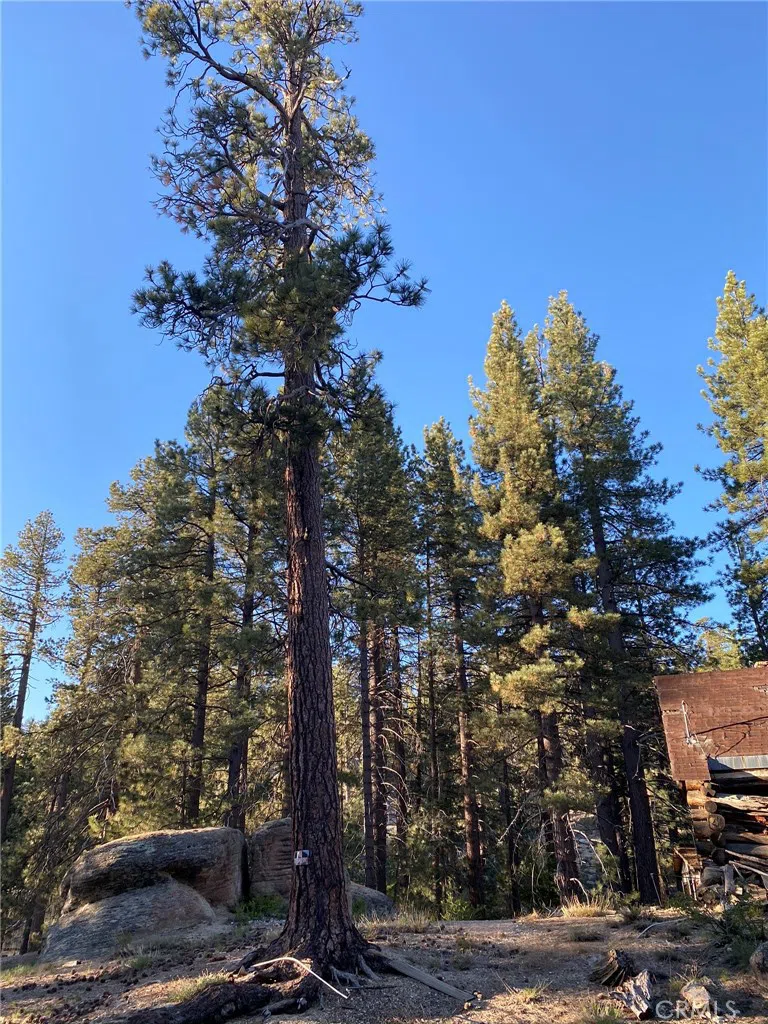 Cienega Road Big Bear, CA 92315