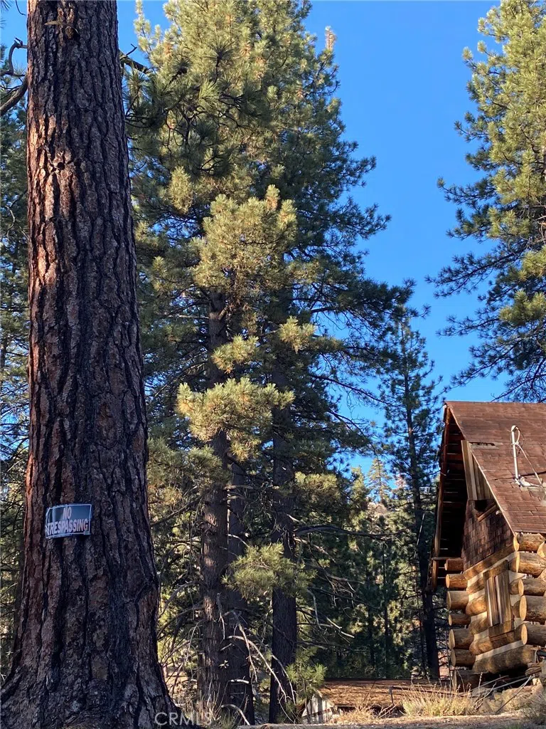 Cienega Road Big Bear, CA 92315