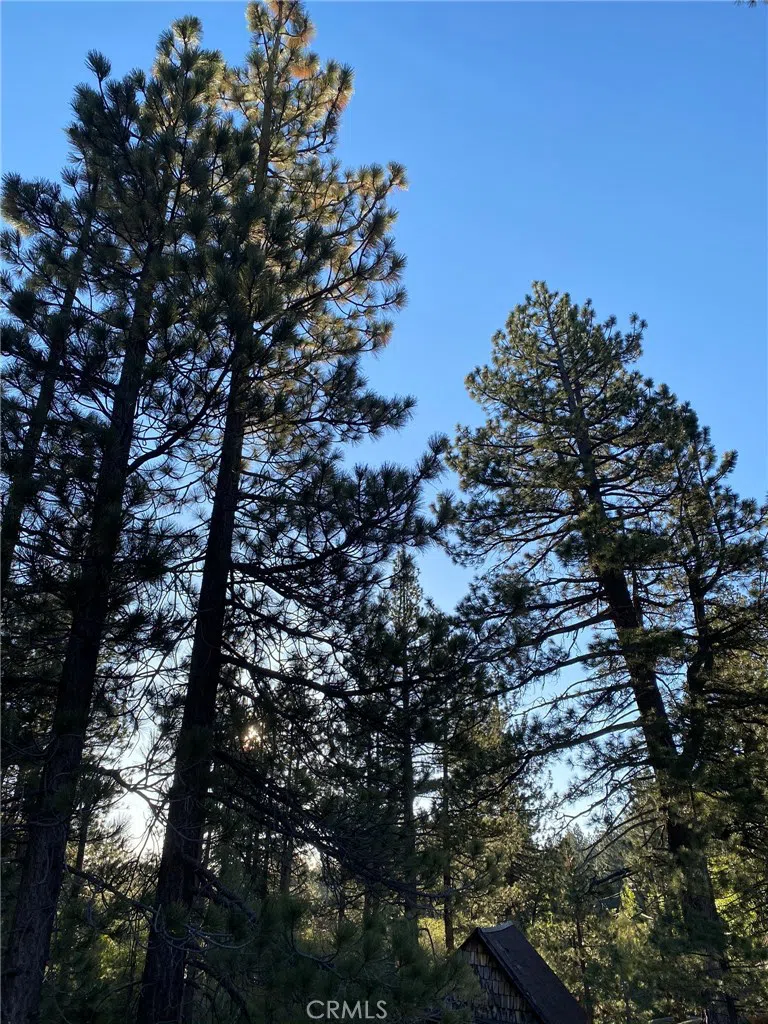 Cienega Road Big Bear, CA 92315