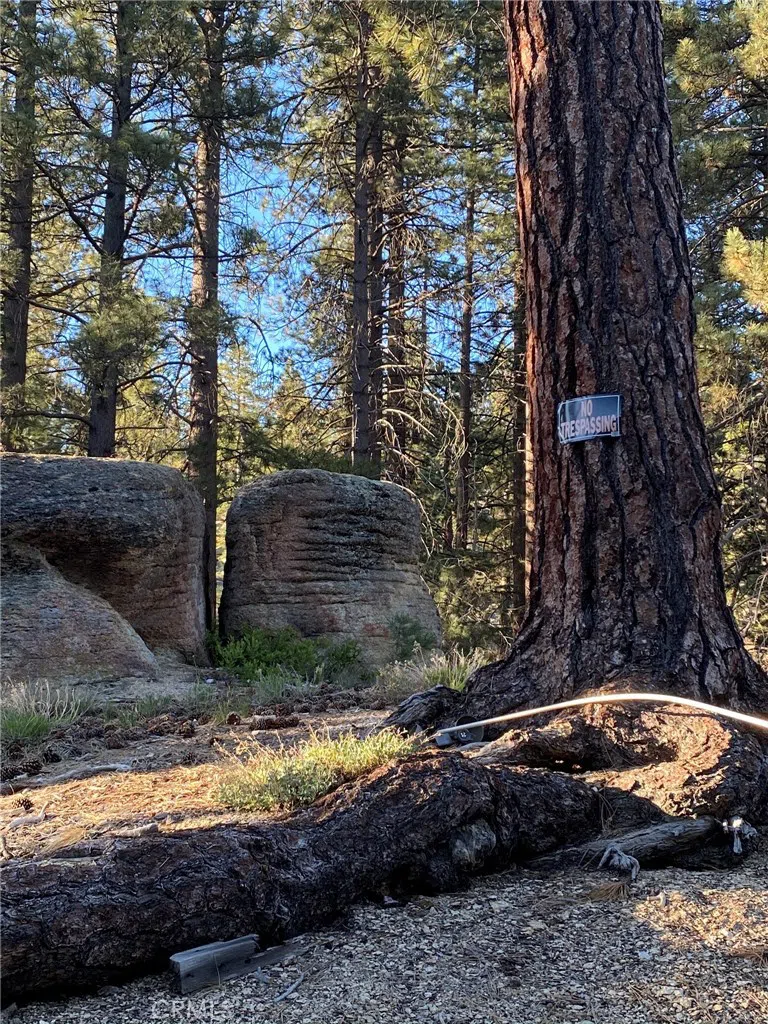 Cienega Road Big Bear, CA 92315