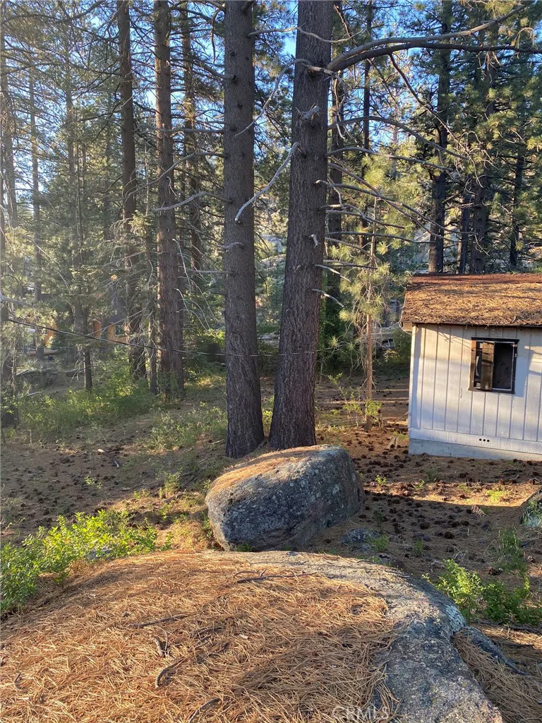 Cienega Road Big Bear, CA 92315