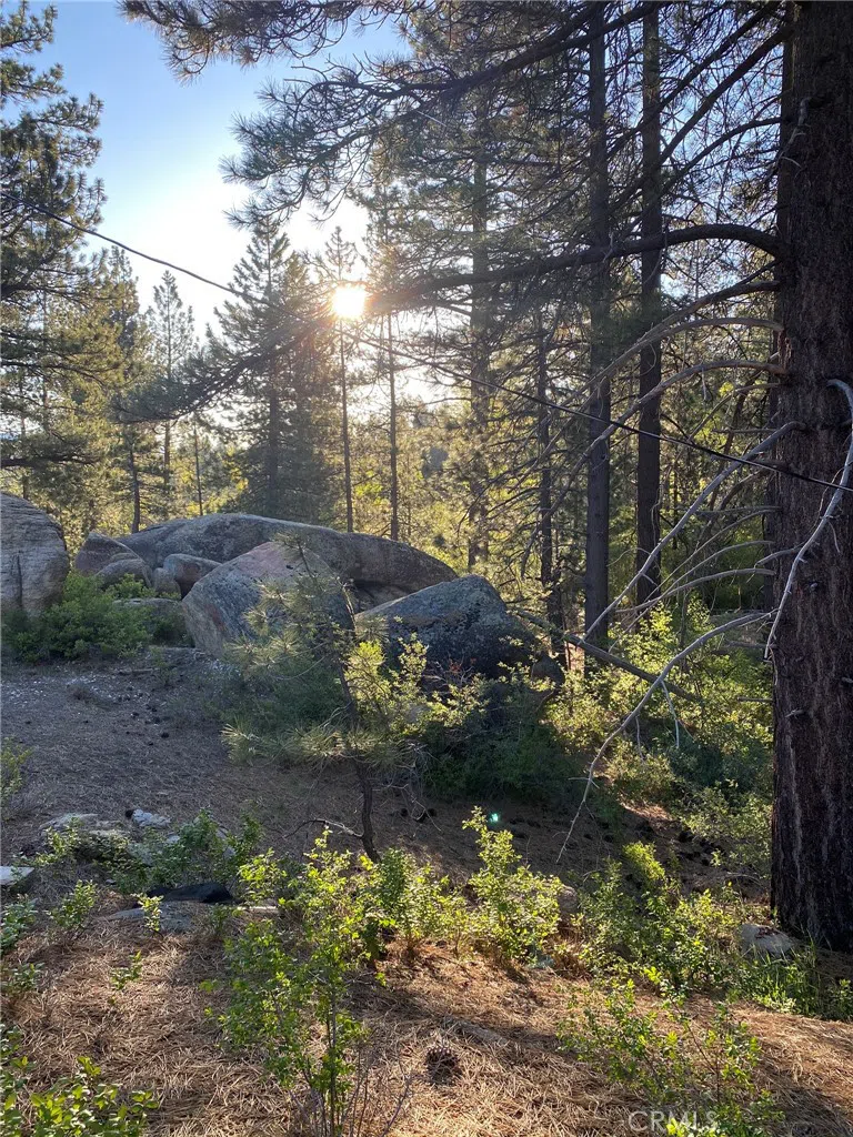 Cienega Road Big Bear, CA 92315