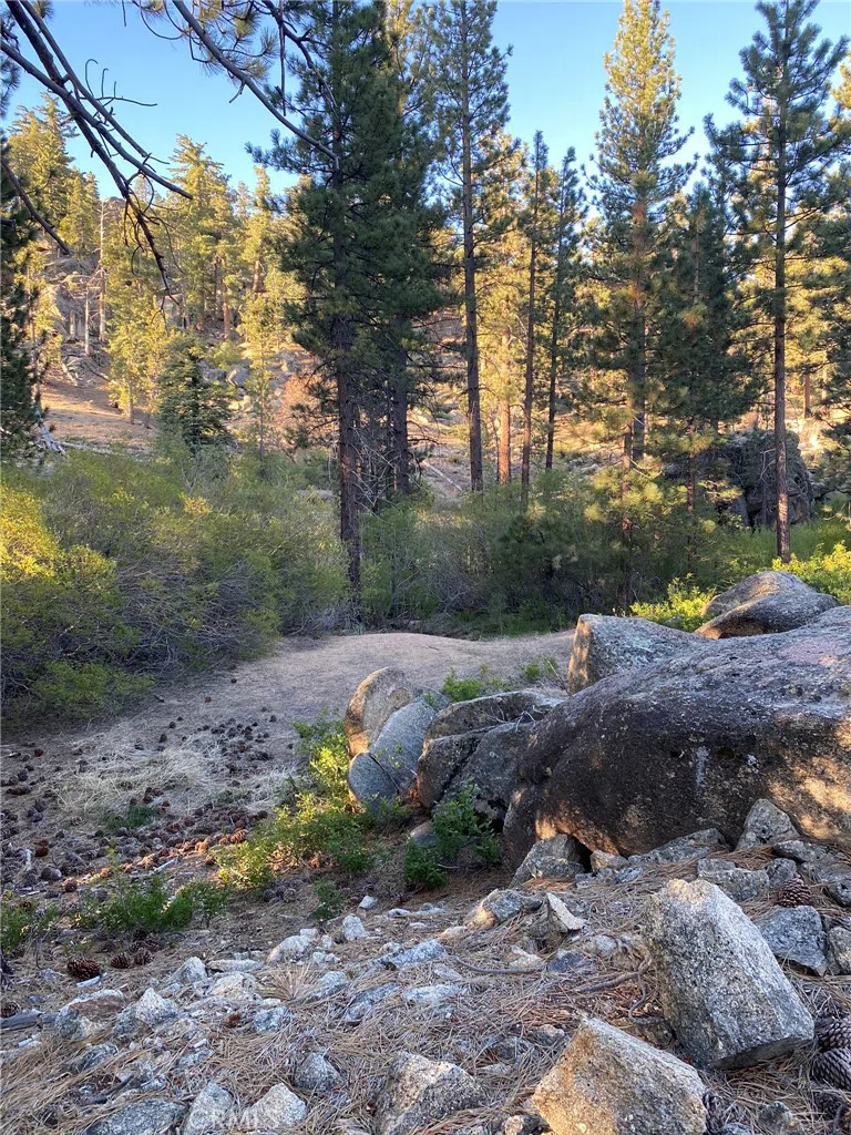 Cienega Road Big Bear, CA 92315