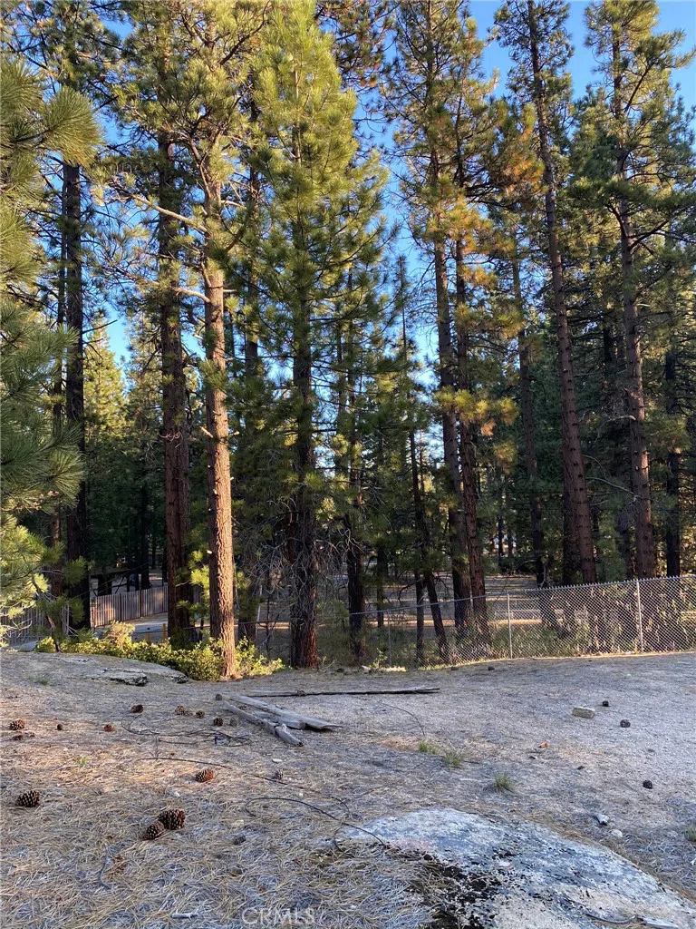 Cienega Road Big Bear, CA 92315