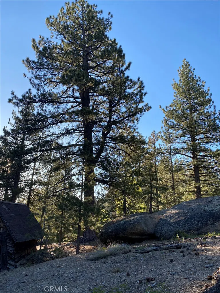 Cienega Road Big Bear, CA 92315
