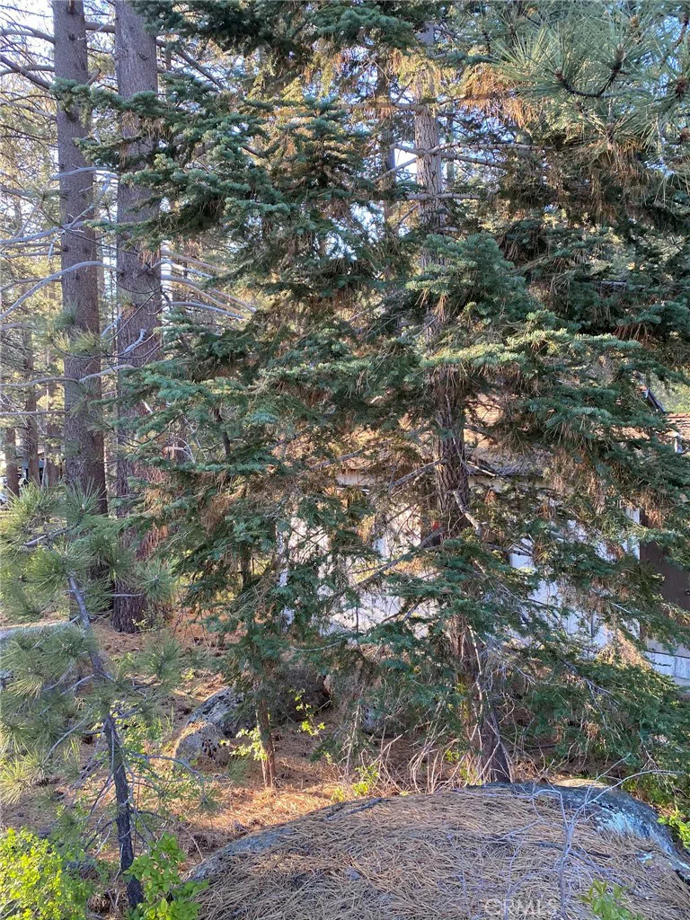 Cienega Road Big Bear, CA 92315