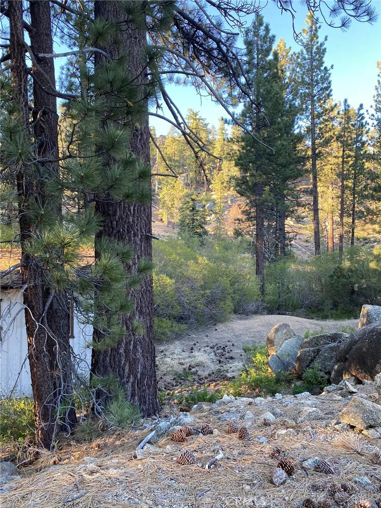Cienega Road Big Bear, CA 92315