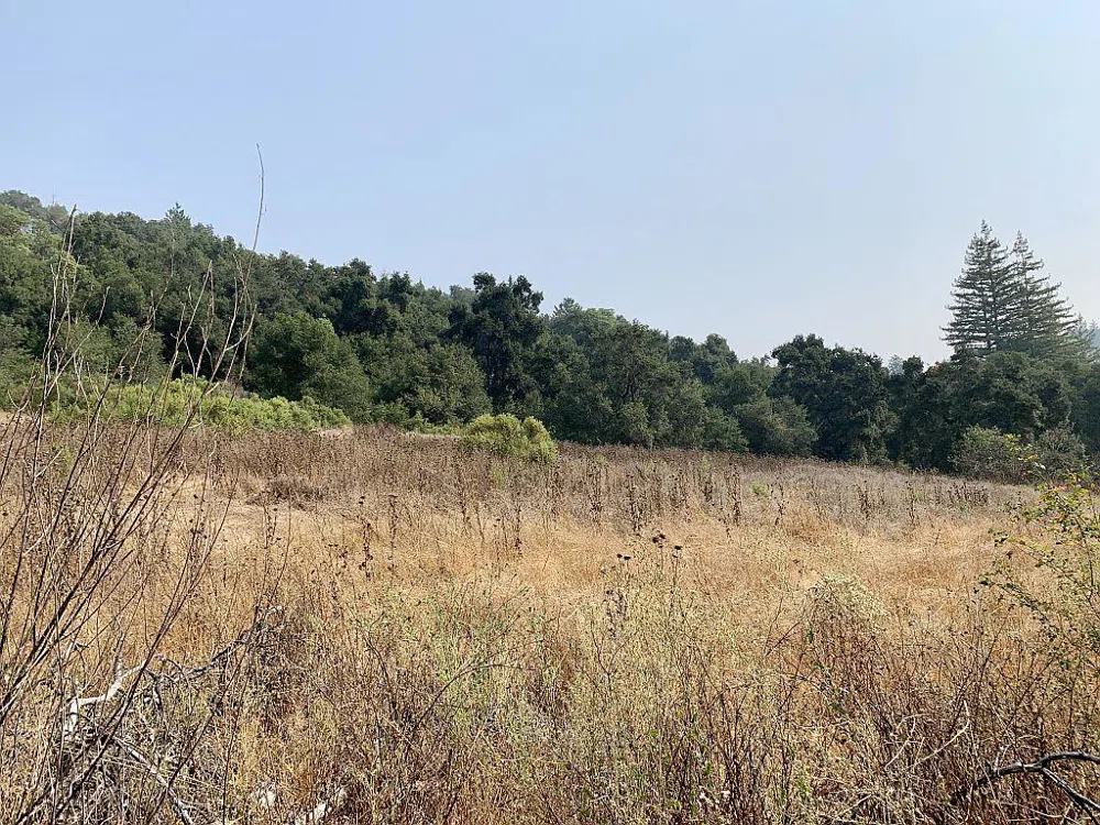 Two Bar Road Boulder Creek, CA 95006