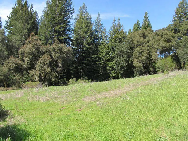 Two Bar Road Boulder Creek, CA 95006