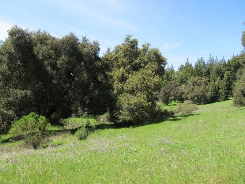 Two Bar Road Boulder Creek, CA 95006