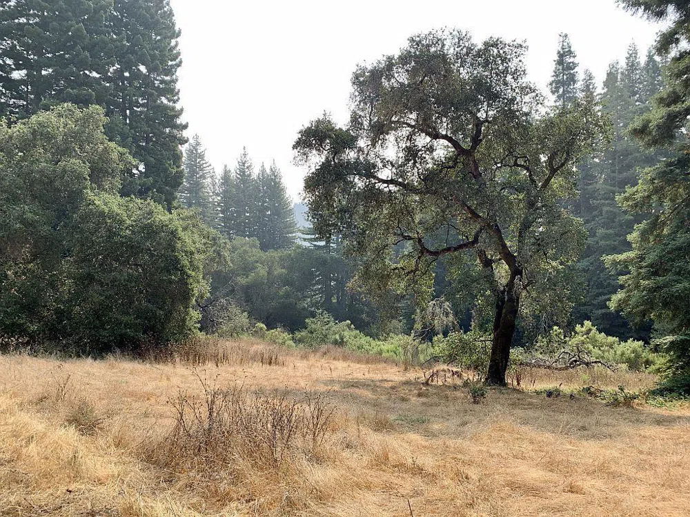 Two Bar Road Boulder Creek, CA 95006