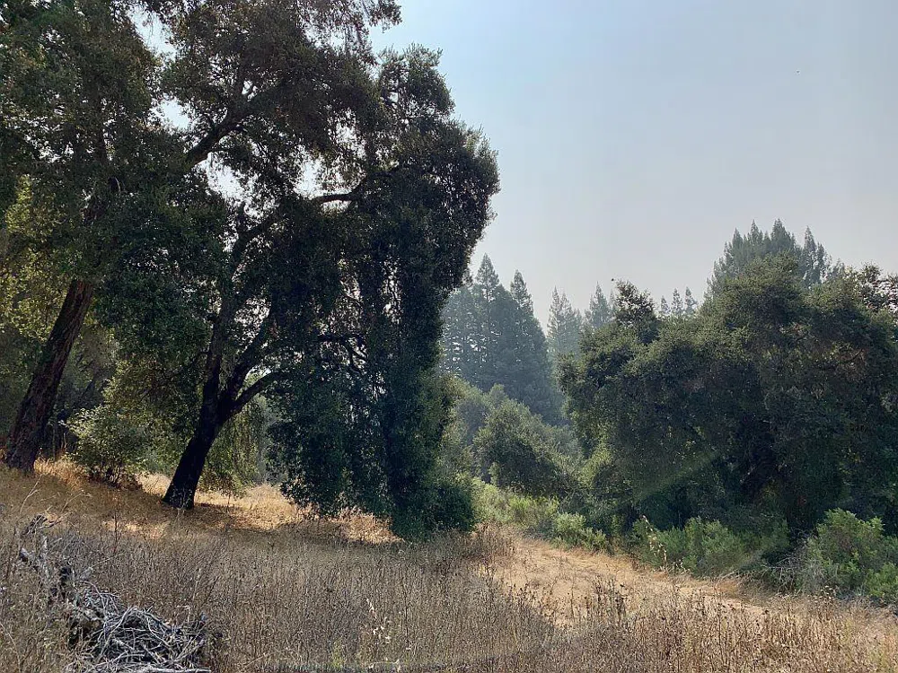 Two Bar Road Boulder Creek, CA 95006