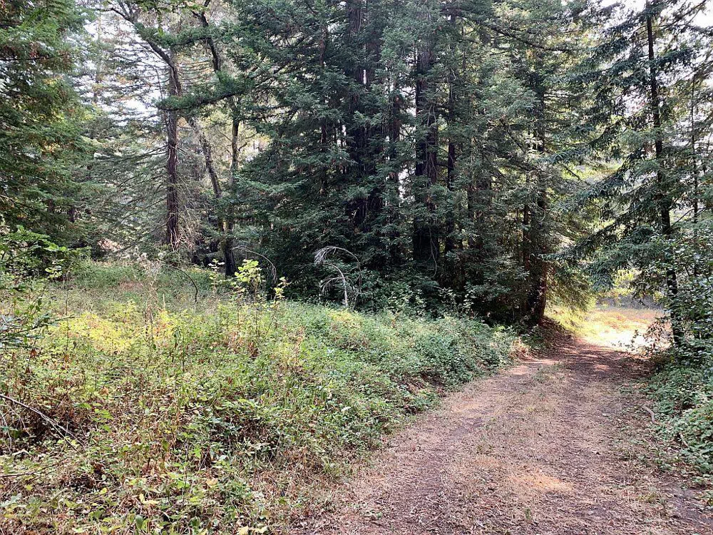 Two Bar Road Boulder Creek, CA 95006