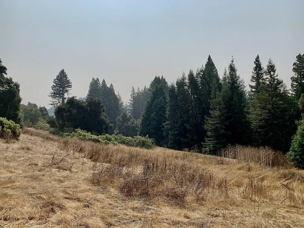 Two Bar Road Boulder Creek, CA 95006
