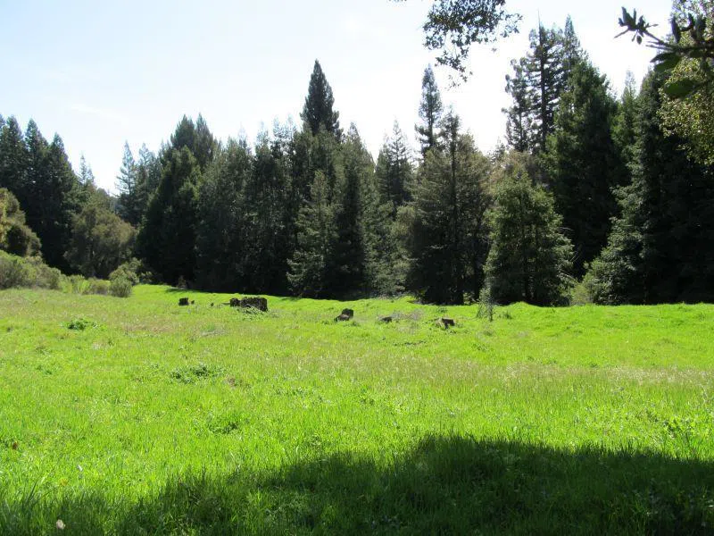 Two Bar Road Boulder Creek, CA 95006