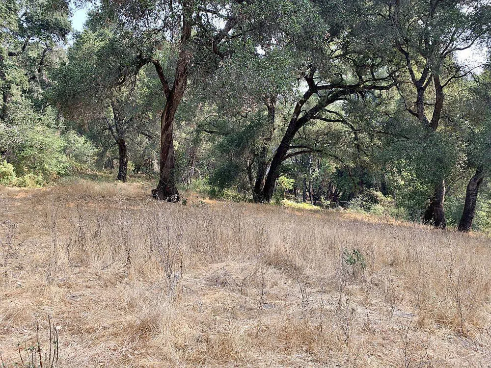 Two Bar Road Boulder Creek, CA 95006